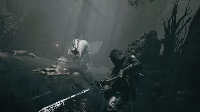 Mortal Shell II: Devout Edition gameplay screenshot